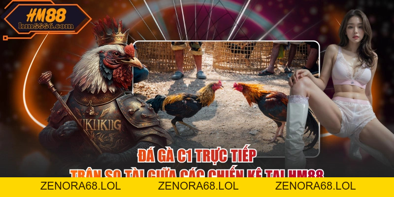 Đá Gà C1 Trực Tiếp - Trận So Tài Giữa Các Chiến Kê Tại HM88