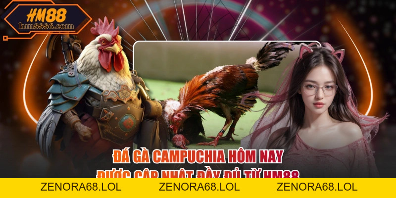Đá Gà Campuchia Hôm Nay Được Cập Nhật Đầy Đủ Từ HM88