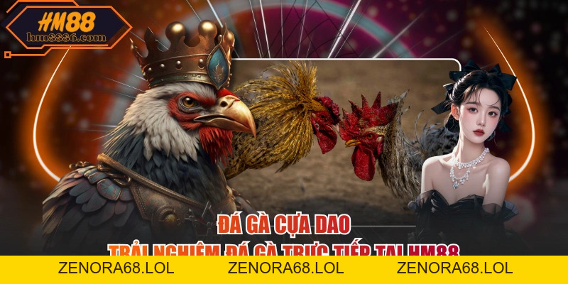 Đá Gà Cựa Dao - Trải Nghiệm Đá Gà Trực Tiếp Tại HM88
